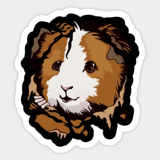 Guinea Pig Torn Clothes Ripped Ragged Cavy Sticker